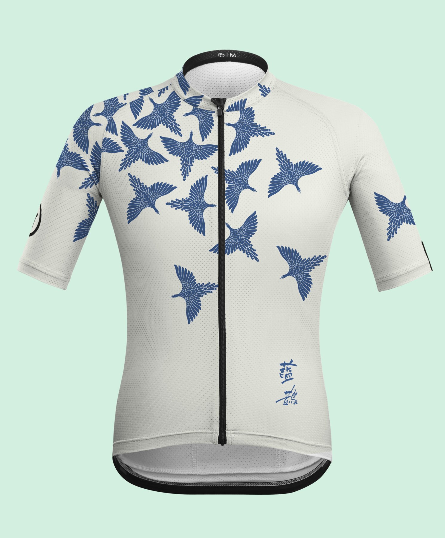 martini cycling jersey